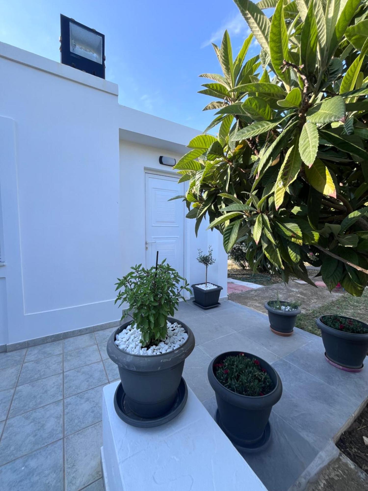 Kosaris Cottage Zipárion Екстериор снимка